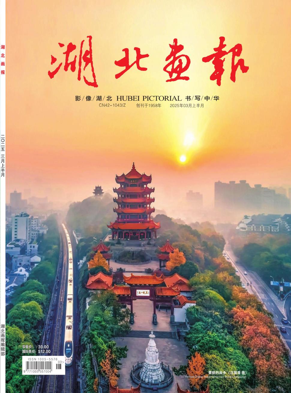 湖北画报