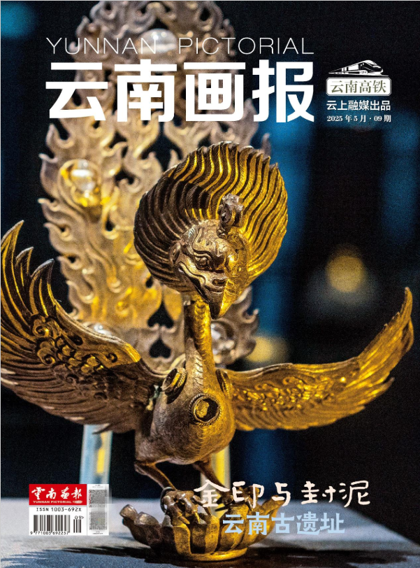 云南画报